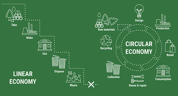 A linear economy and a circular economy. The linear economy follows a straight path: Take, Make, Use, Dispose, leading to Waste. The circular economy loops through stages: Design, Production, Retail, Consumption, Reuse & Repair, Collection, Recycling, and back to Raw Materials and Design, minimizing waste.